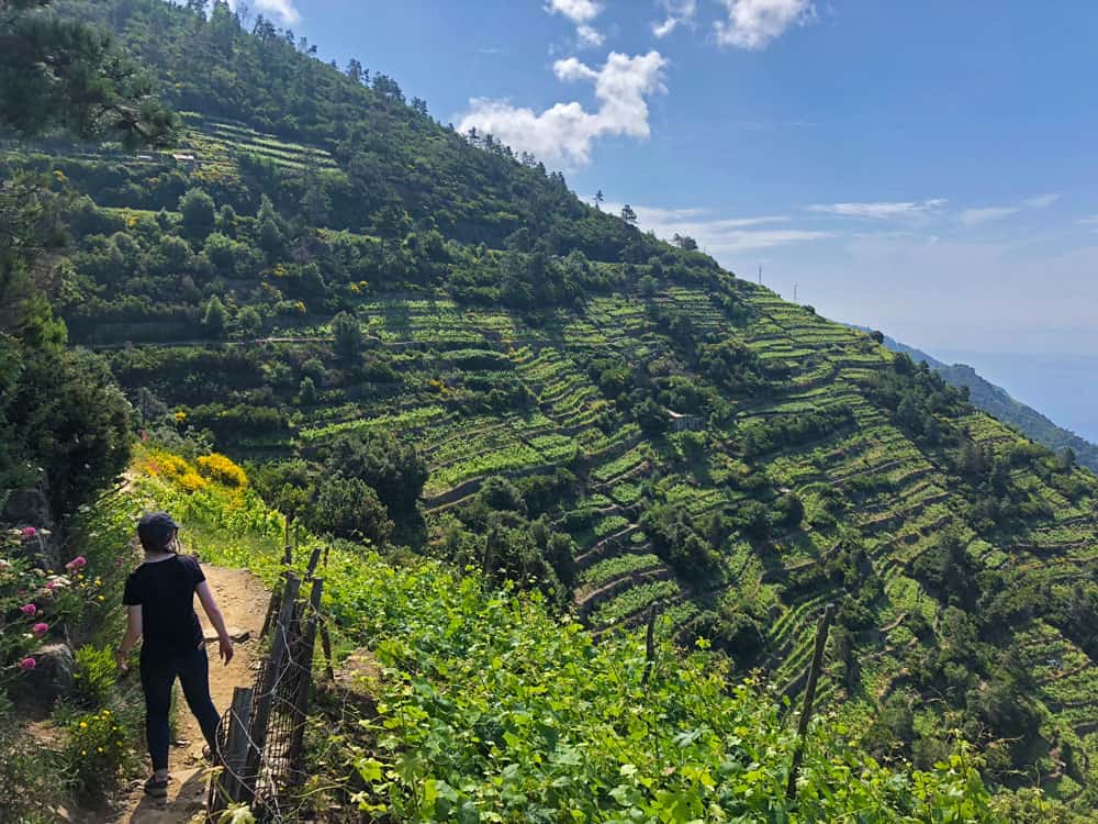 Hiking Cinque Terre