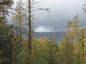 irealand in the spring